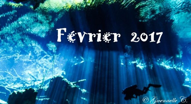 Prévisions énergétiques Février Gwenaelle C