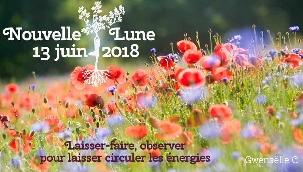 Lune du 13 juin 2018 - Lâcher les rênes pour laisser l'énergie circuler