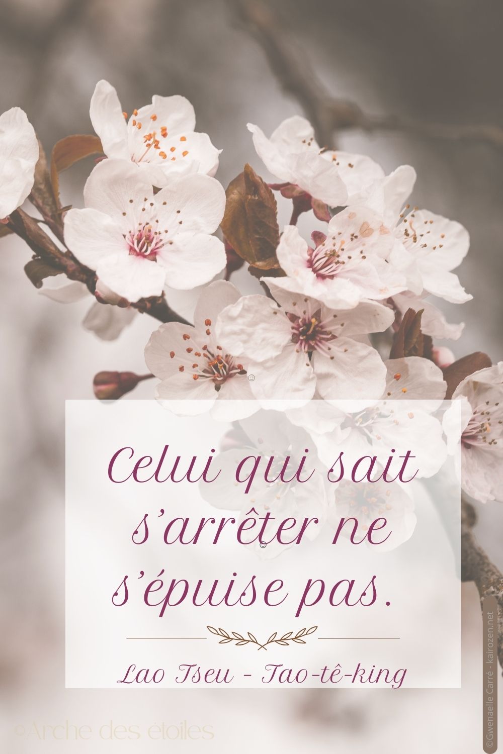 Pourquoi je suis fatigué tout le temps ? Comprendre la fatigue hypersensible et les 5 fatigues invisibles de notre époque 4 SAGESSE Intérieure fatigue des hypersensibles : Celui sait s'arrêter ne s'épuise pas.