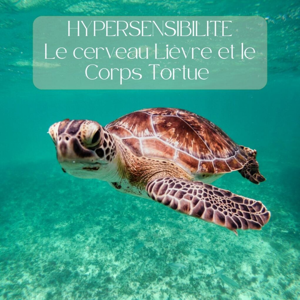 Le syndrome de l'hypersensible hyperempathe : des pensées rapides, des réactions lentes