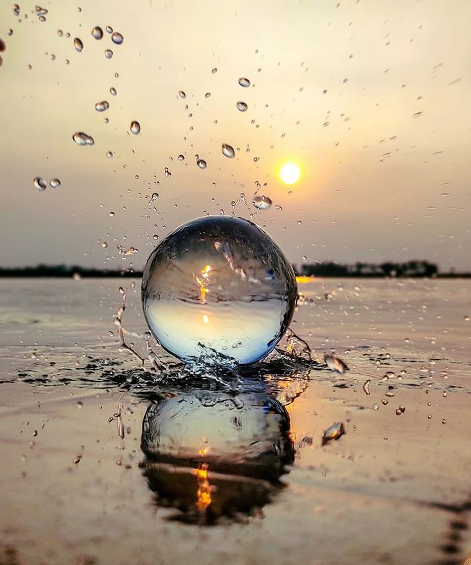 Фотографии С Отражением В Воде Приложение